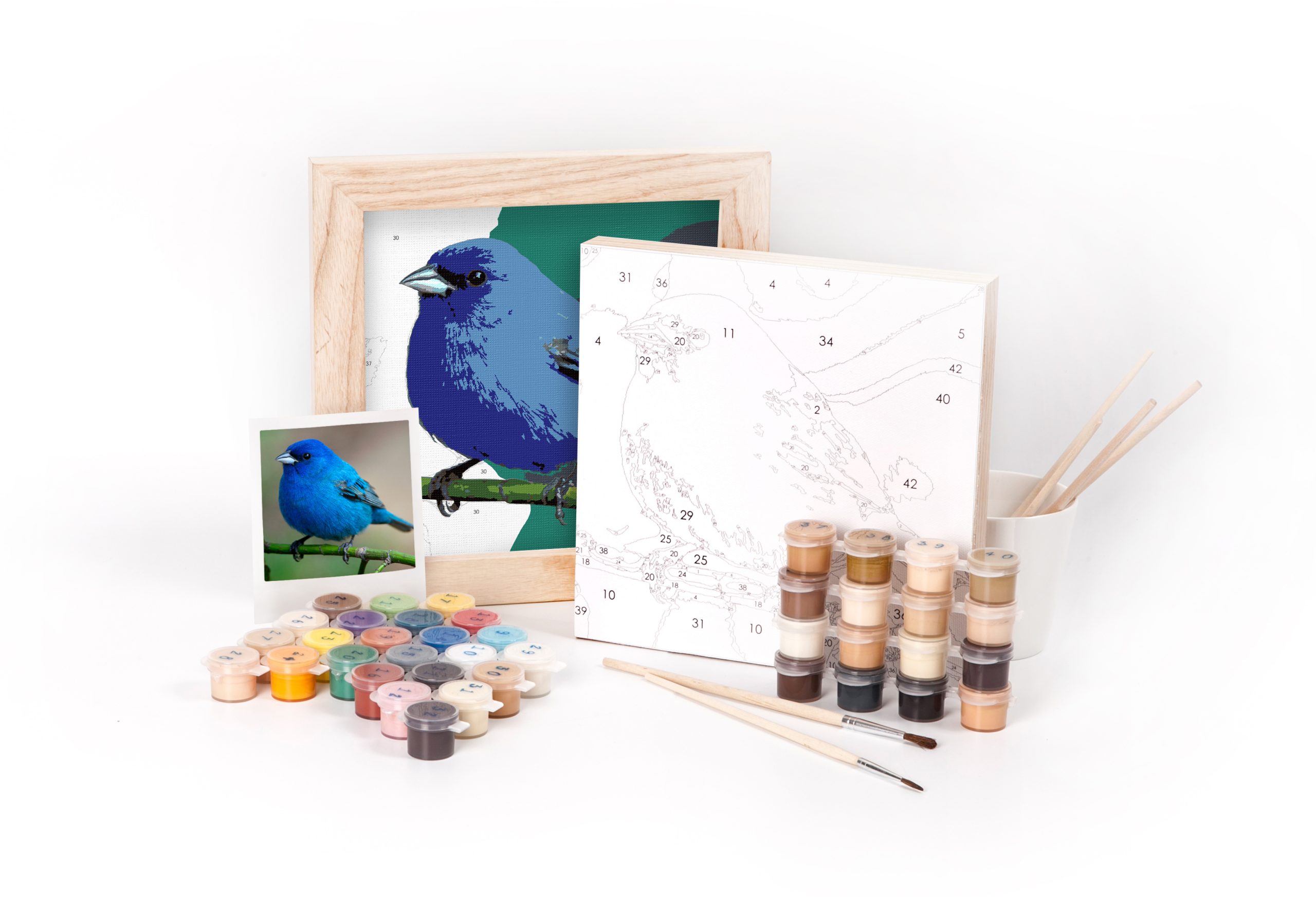 Paint-by-Number Kit - Mini - Sparrow - Gift & Gather