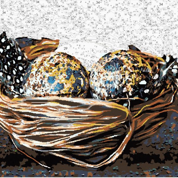 Nest Eggs | EasyArtsy Paint by Number