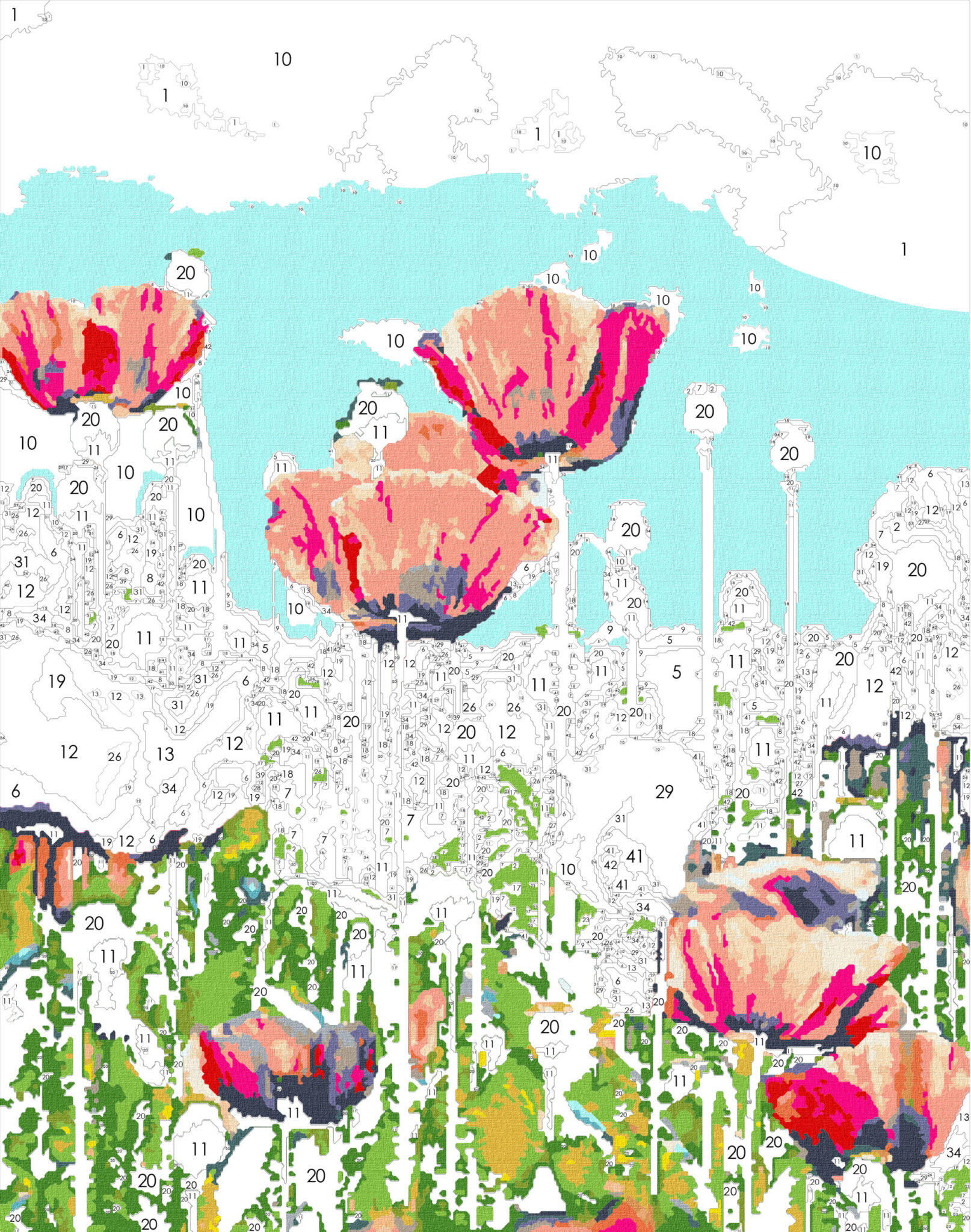 Pacific Poppy | EasyArtsy Paint by Number