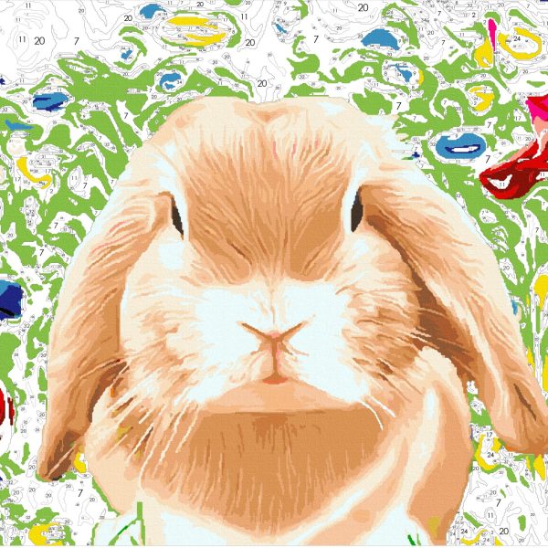 Little Bunny | EasyArtsy Paint by Number
